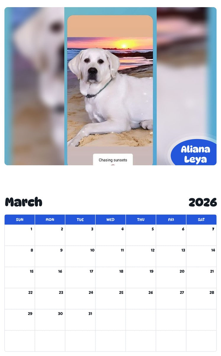 November 2025 - October 2026 Aliana Leya - Pawidols Pet Calendar