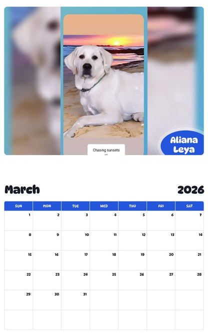 November 2025 - October 2026 Aliana Leya - Pawidols Pet Calendar
