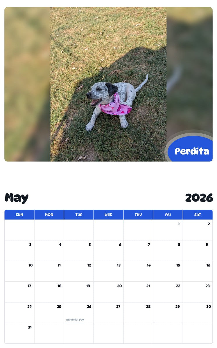 2026 - 2027 Perdita - Pawidols Pet Calendar