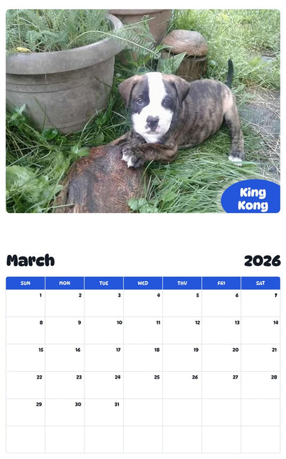 November 2025 - October 2026 King Kong - Pawidols Pet Calendar