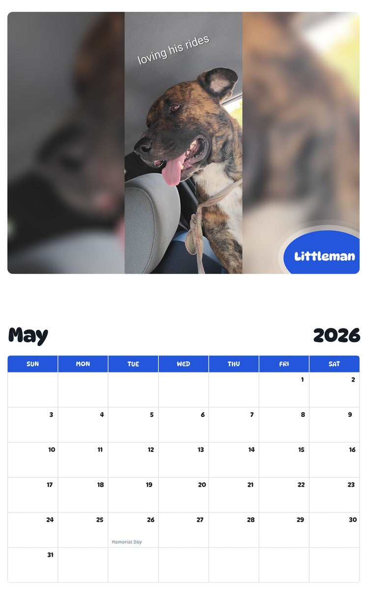 2026 - 2027 Littleman - Pawidols Pet Calendar