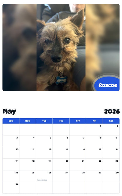2026 - 2027 Roscoe - Pawidols Pet Calendar