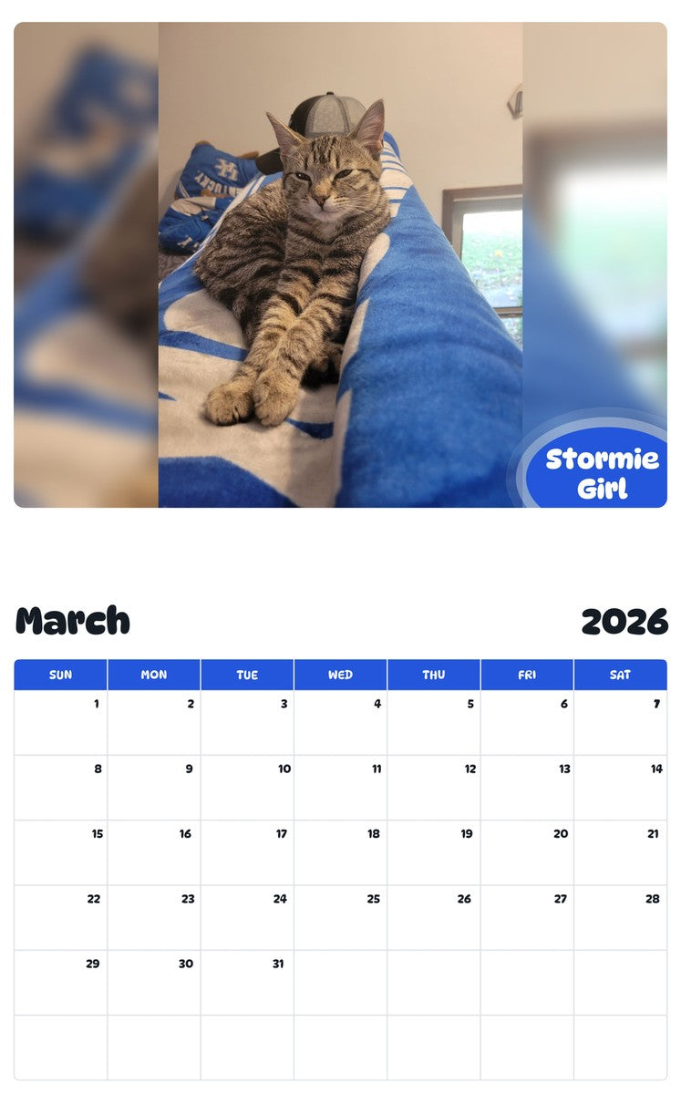 November 2025 - October 2026 Stormie Girl - Pawidols Pet Calendar