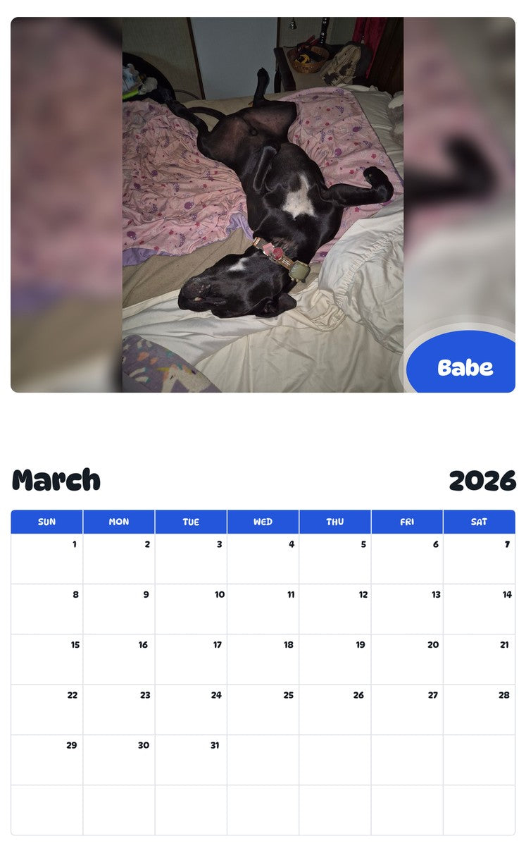 November 2025 - October 2026 Babe - Pawidols Pet Calendar
