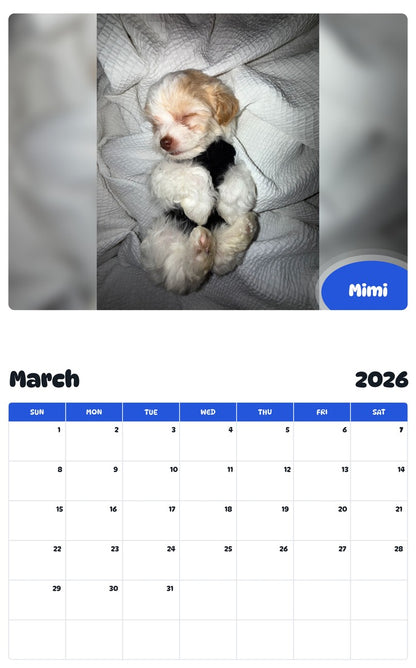 November 2025 - October 2026 Mimi - Pawidols Pet Calendar