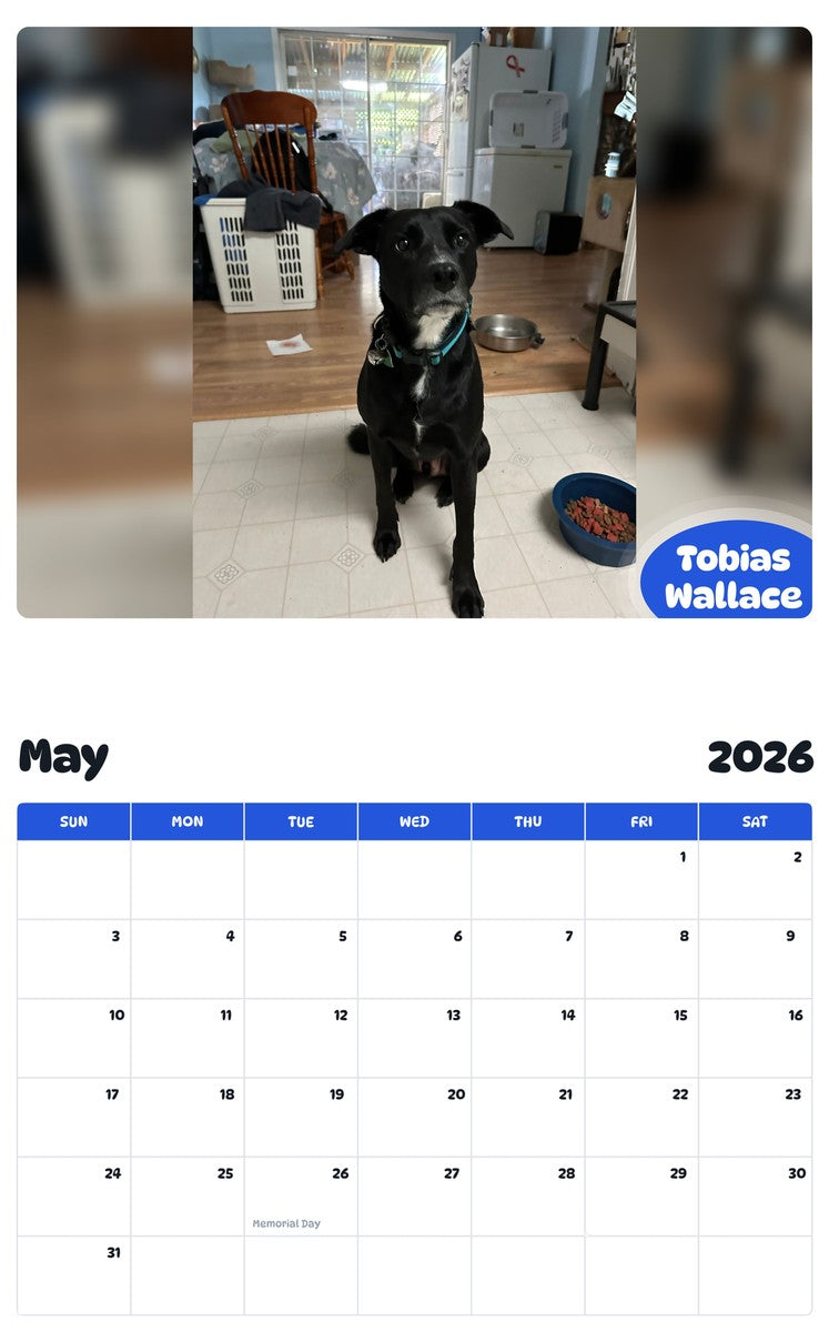 2026 - 2027 Tobias Wallace - Pawidols Pet Calendar
