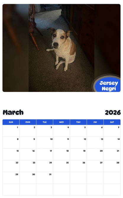 November 2025 - October 2026 Jersey Negri - Pawidols Pet Calendar