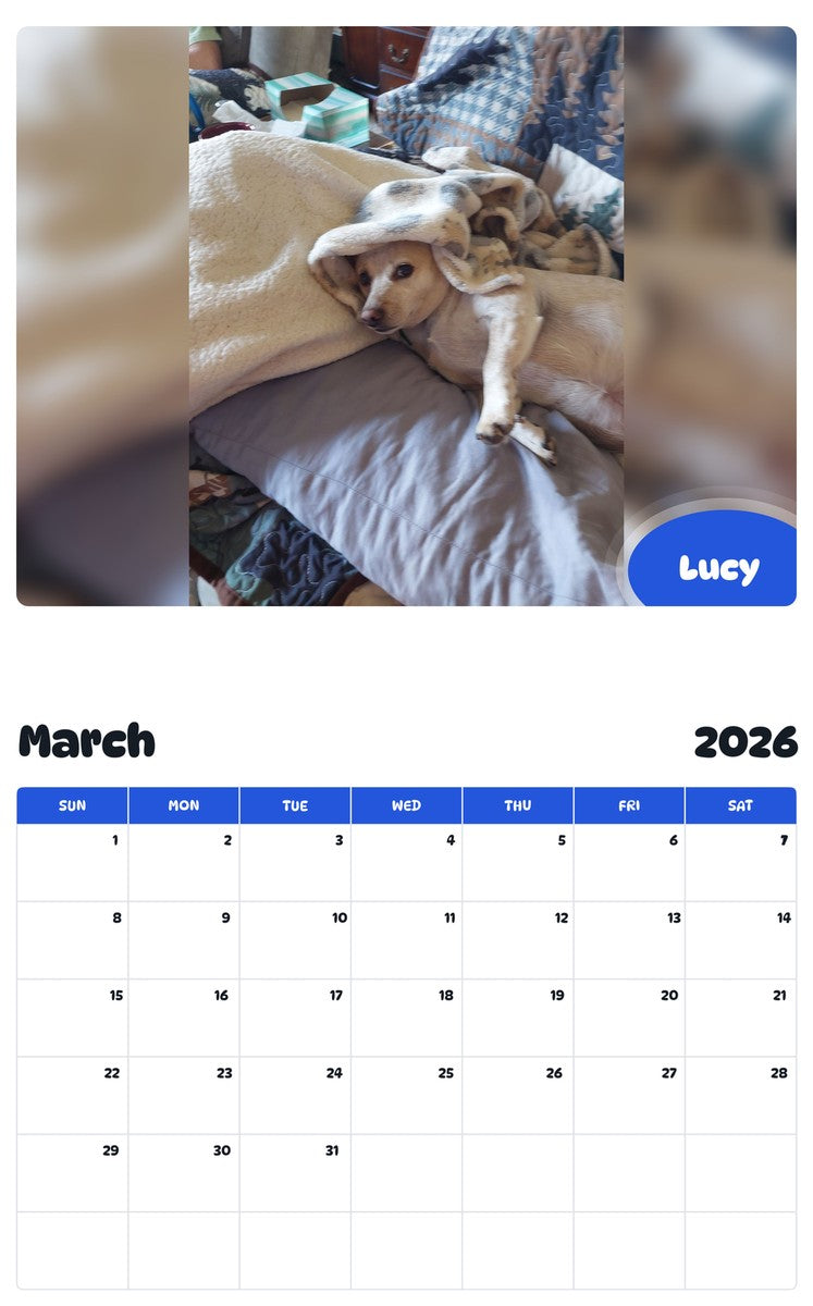 November 2025 - October 2026 Lucy - Pawidols Pet Calendar
