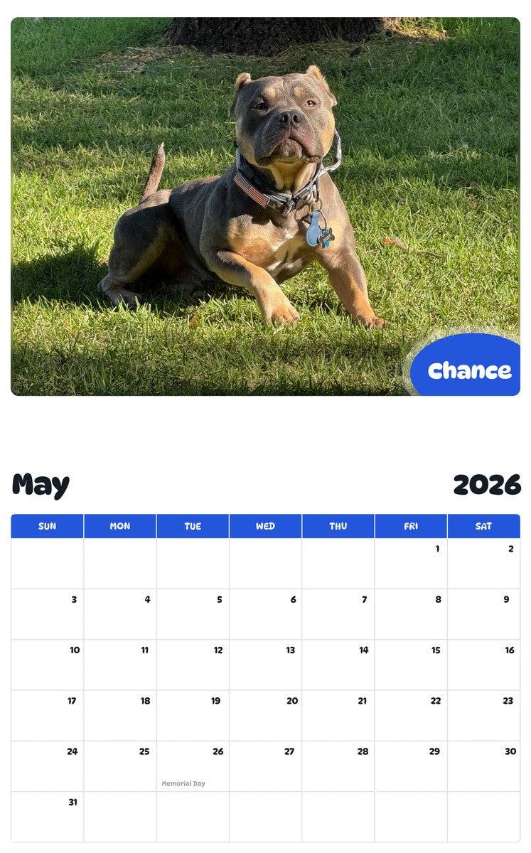 2026 - 2027 Chance - Pawidols Pet Calendar