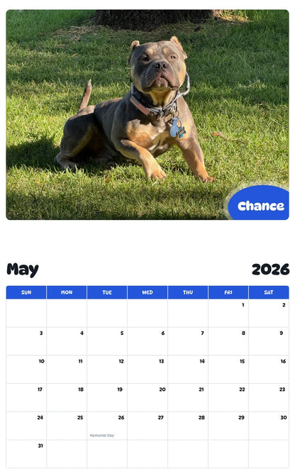 2026 - 2027 Chance - Pawidols Pet Calendar