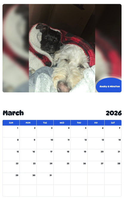 November 2025 - October 2026 Rocky & Winston - Pawidols Pet Calendar