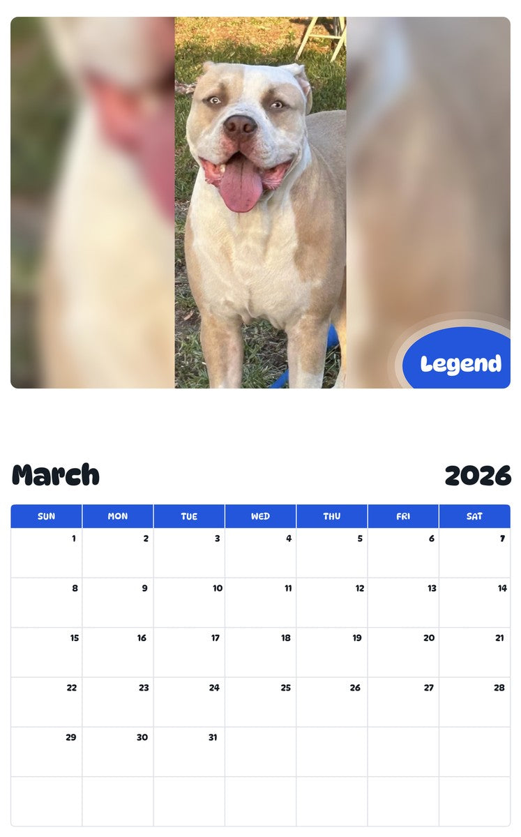 November 2025 - October 2026 Legend - Pawidols Pet Calendar