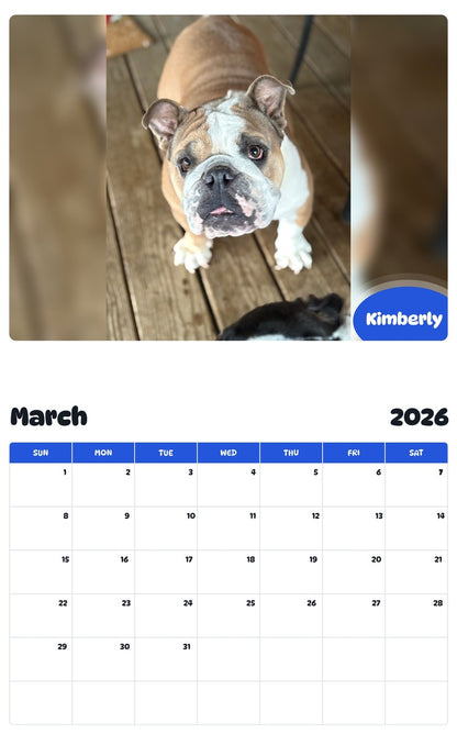 November 2025 - October 2026 Kimberly - Pawidols Pet Calendar