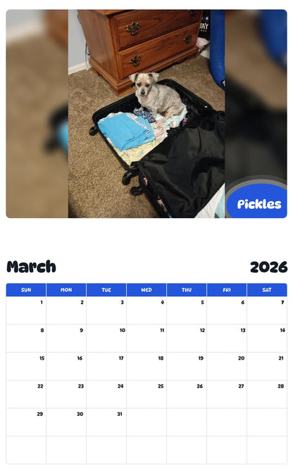 November 2025 - October 2026 Pickles - Pawidols Pet Calendar