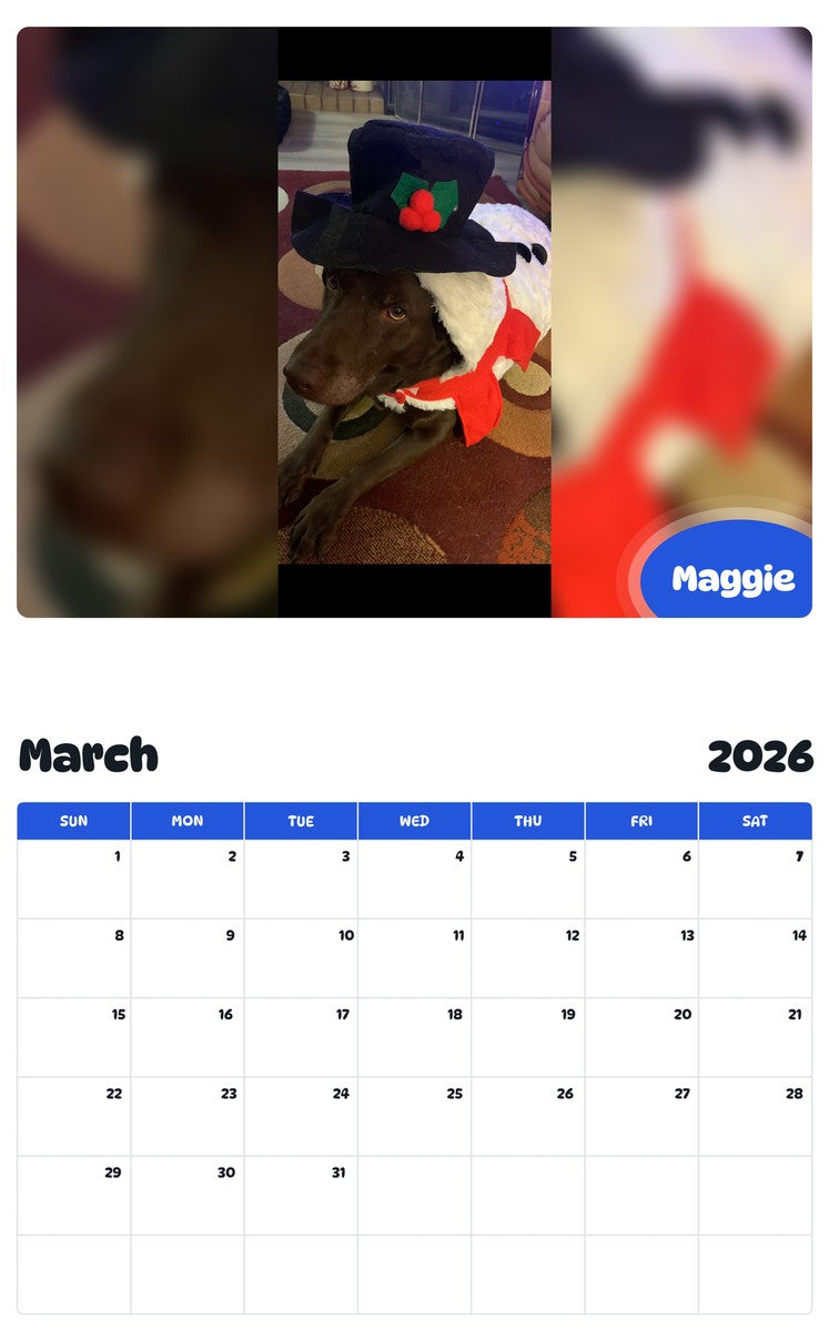 November 2025 - October 2026 Maggie - Pawidols Pet Calendar