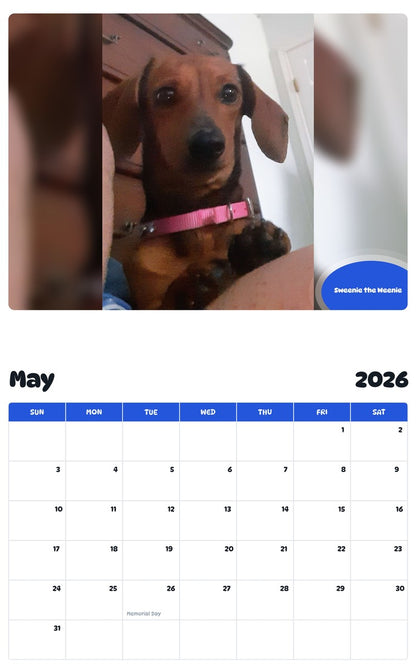 2026 - 2027 Sweenie the Weenie - Pawidols Pet Calendar