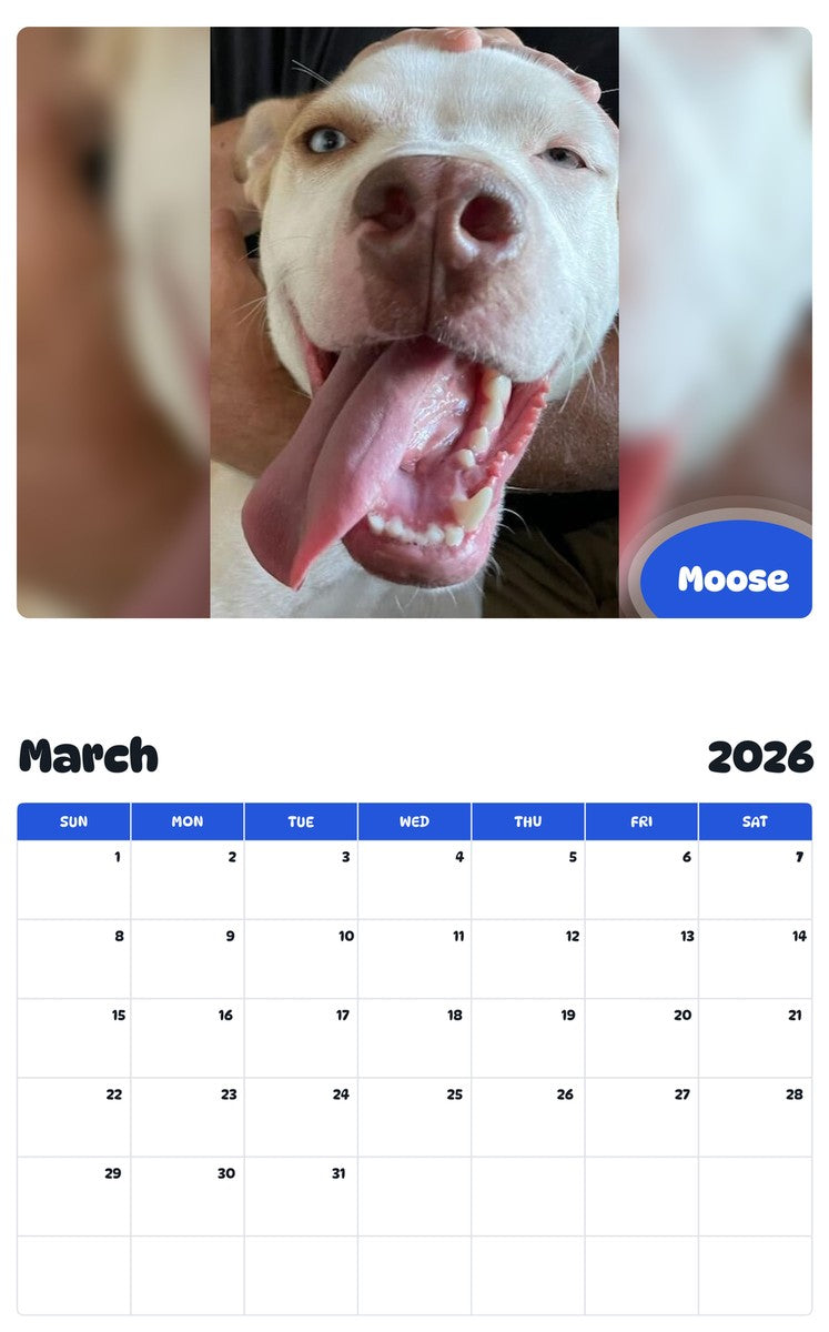 November 2025 - October 2026 Moose - Pawidols Pet Calendar