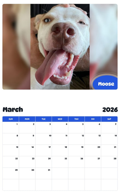 November 2025 - October 2026 Moose - Pawidols Pet Calendar