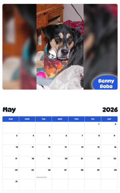 2026 - 2027 Benny Bobo - Pawidols Pet Calendar