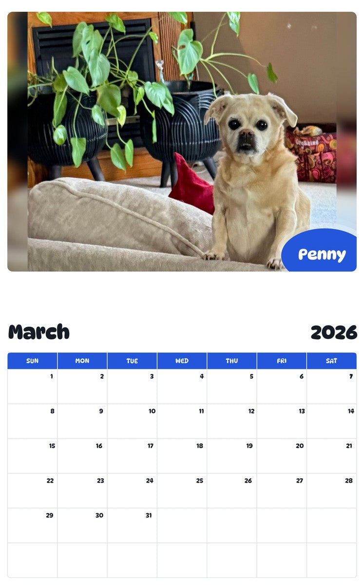 November 2025 - October 2026 Penny - Pawidols Pet Calendar