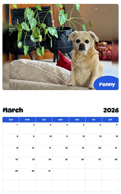 November 2025 - October 2026 Penny - Pawidols Pet Calendar