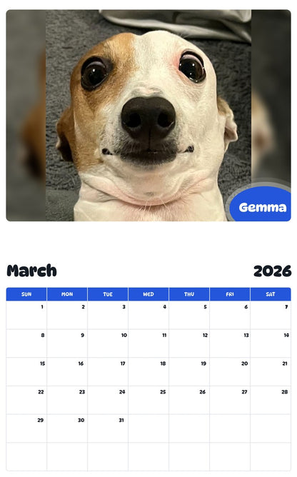 November 2025 - October 2026 Gemma - Pawidols Pet Calendar