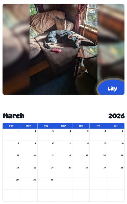 November 2025 - October 2026 Lily - Pawidols Pet Calendar