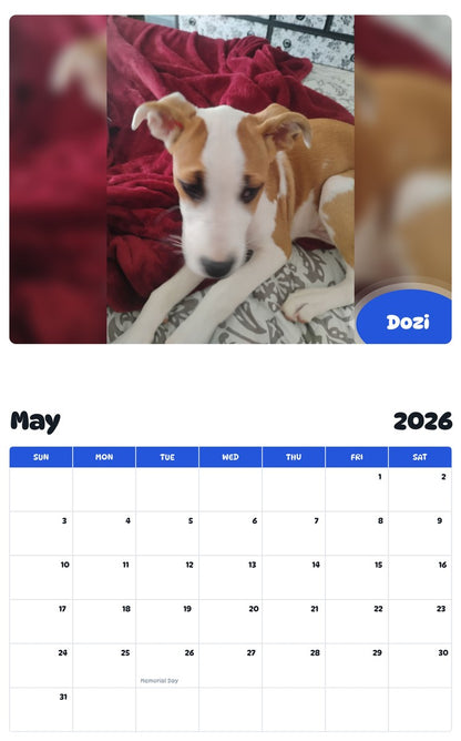 2026 - 2027 Dozi - Pawidols Pet Calendar