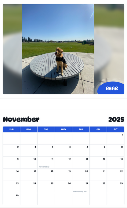 July 2025 - June 2026 NATO Alexander - Pawidols Pet Calendar