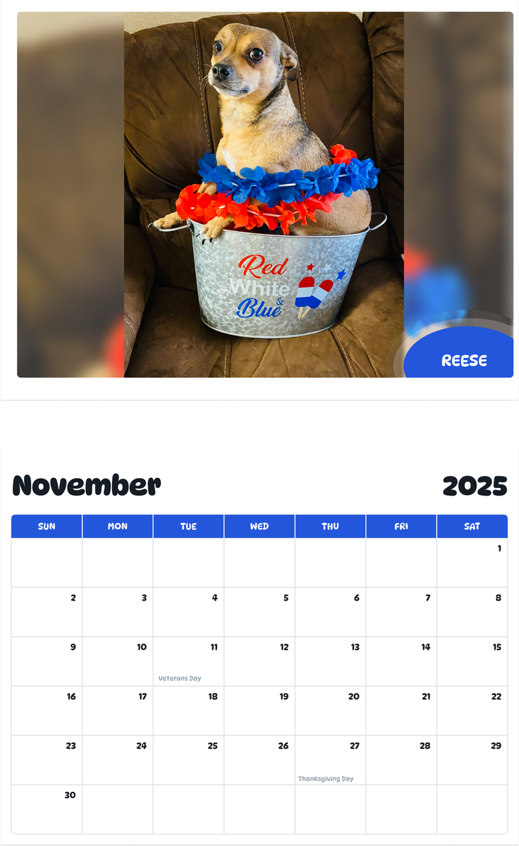 July 2025 - June 2026 Reese - Pawidols Pet Calendar