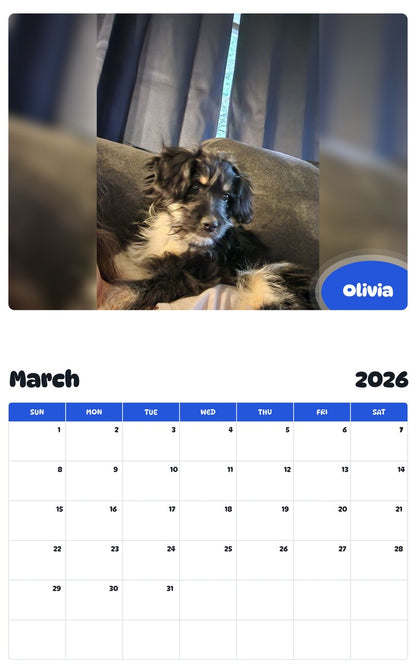 November 2025 - October 2026 Olivia - Pawidols Pet Calendar