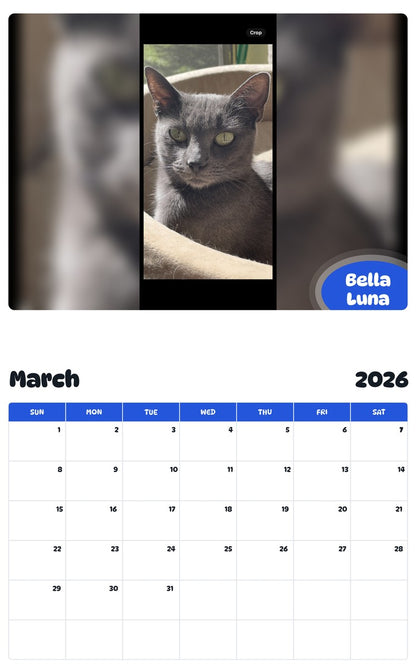 November 2025 - October 2026 Bella Luna - Pawidols Pet Calendar