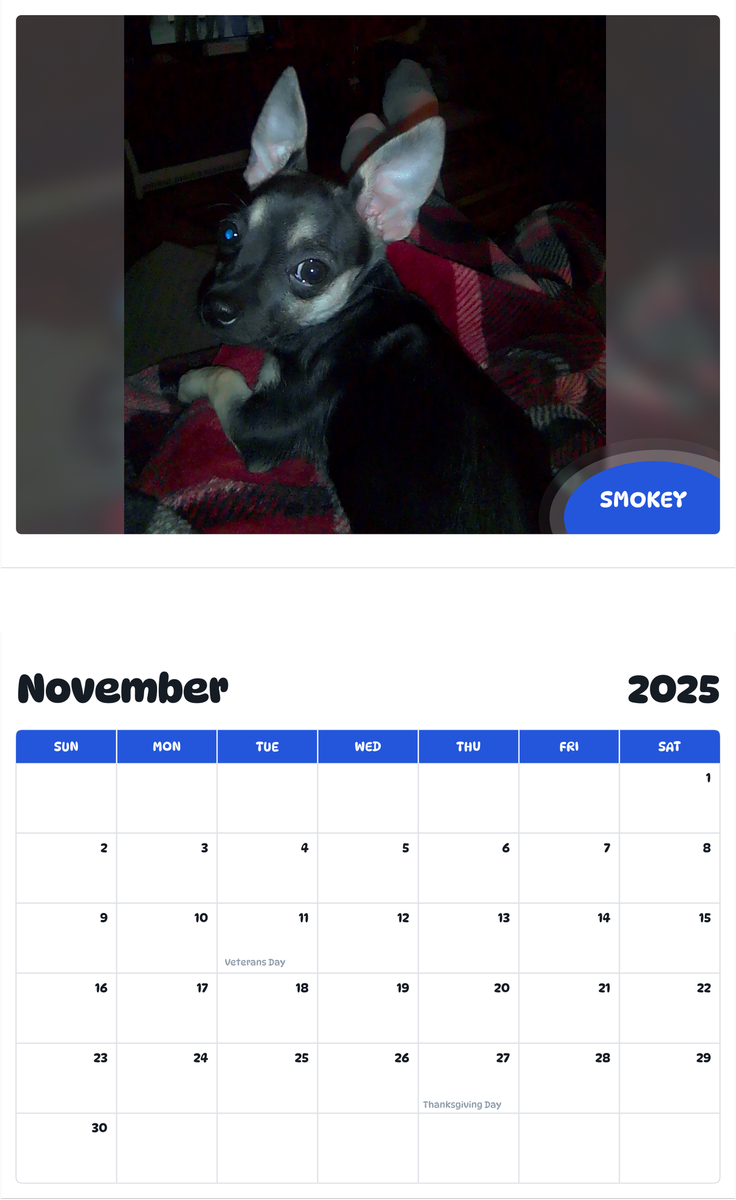 July 2025 - June 2026 Smokey - Pawidols Pet Calendar