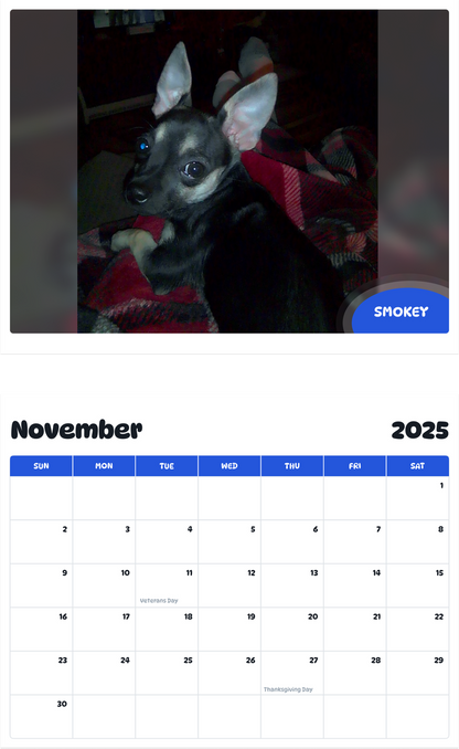 July 2025 - June 2026 Smokey - Pawidols Pet Calendar
