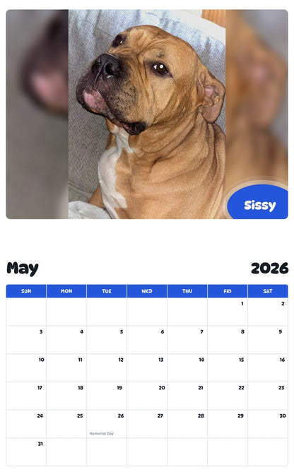 2026 - 2027 Sissy - Pawidols Pet Calendar