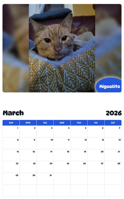 November 2025 - October 2026 Miguelito - Pawidols Pet Calendar