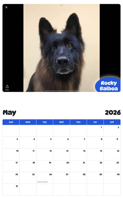 2026 - 2027 Rocky Balboa - Pawidols Pet Calendar