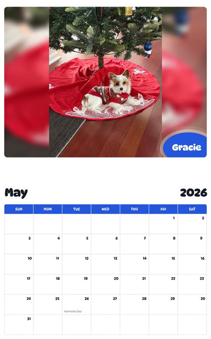 2026 - 2027 Gracie - Pawidols Pet Calendar