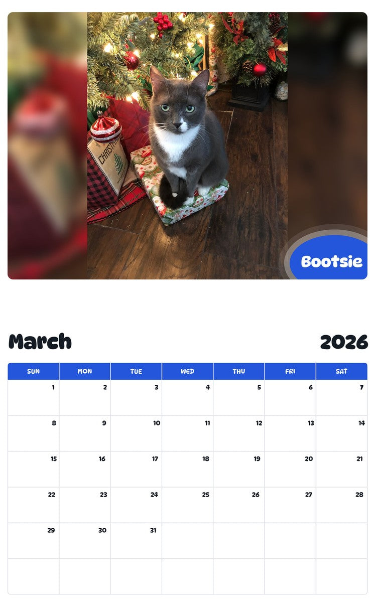 November 2025 - October 2026 Bootsie - Pawidols Pet Calendar