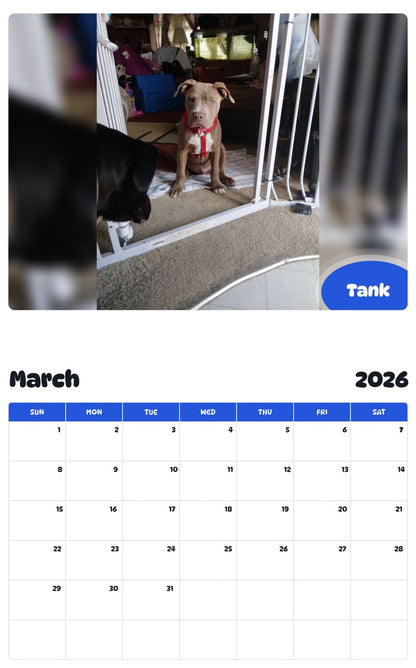 November 2025 - October 2026 Tank - Pawidols Pet Calendar