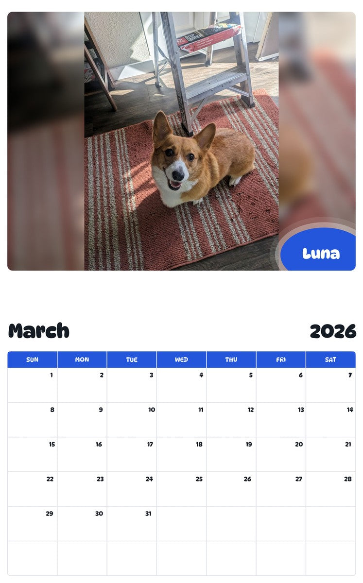 November 2025 - October 2026 Luna - Pawidols Pet Calendar
