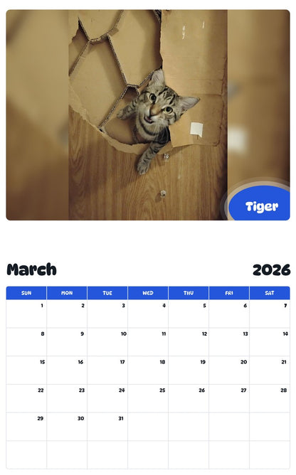 November 2025 - October 2026 Tiger - Pawidols Pet Calendar