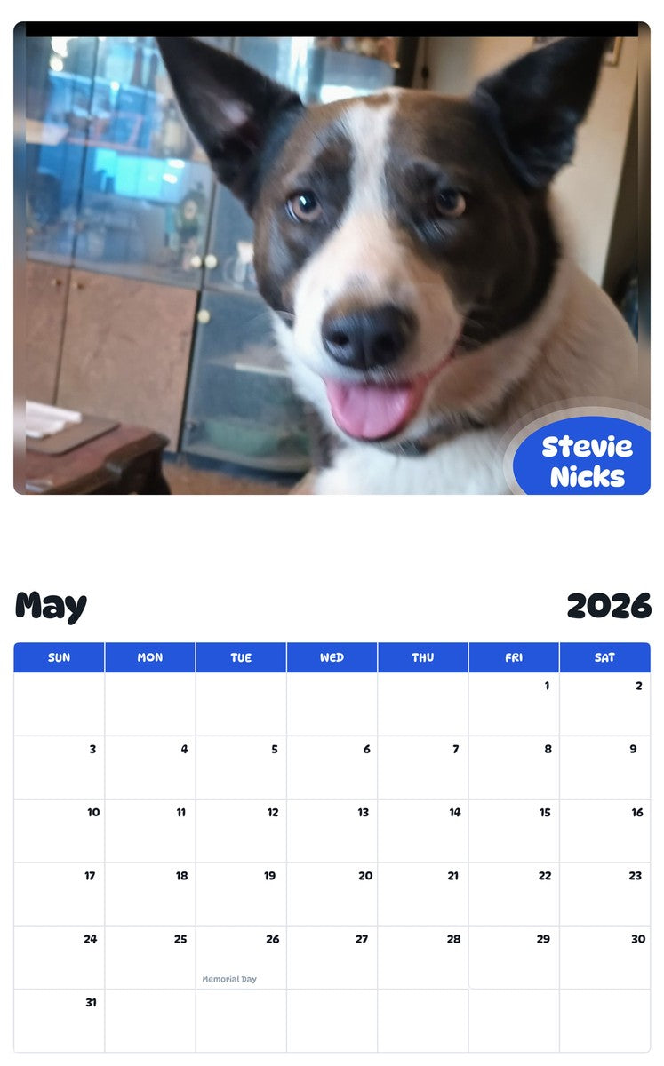2026 - 2027 Stevie Nicks - Pawidols Pet Calendar