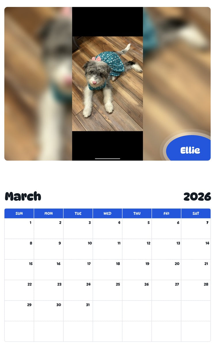 November 2025 - October 2026 Ellie - Pawidols Pet Calendar