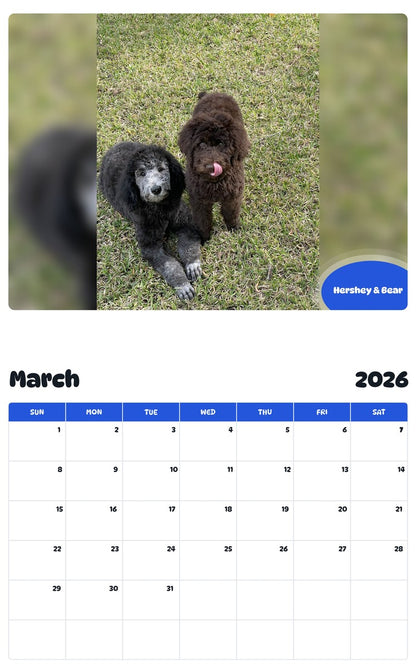 November 2025 - October 2026 Hershey & Bear - Pawidols Pet Calendar