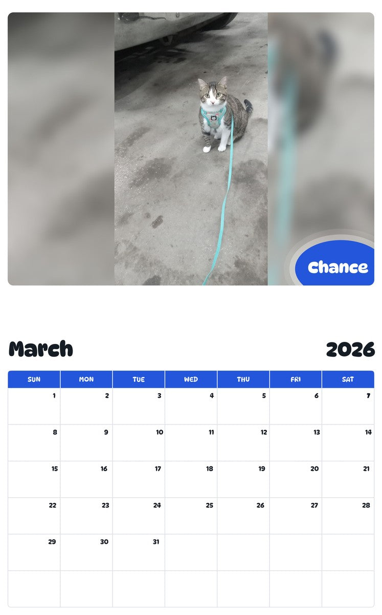 November 2025 - October 2026 Chance - Pawidols Pet Calendar