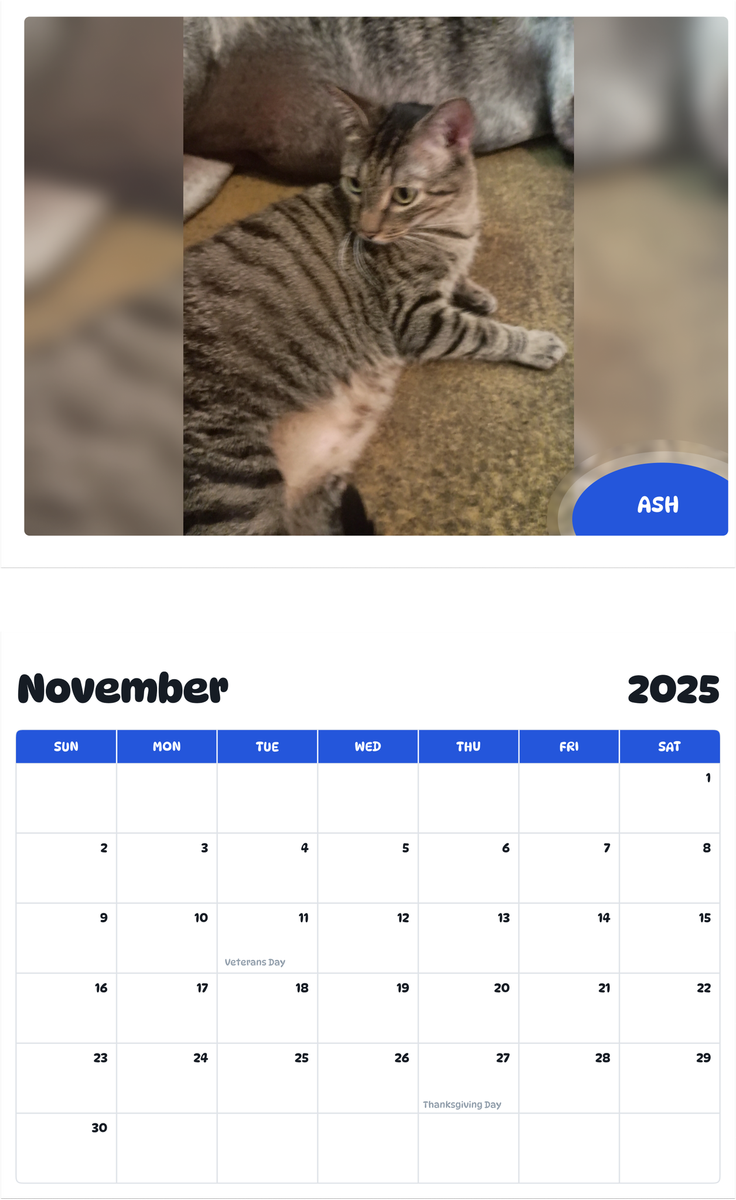 July 2025 - June 2026 Ash - Pawidols Pet Calendar