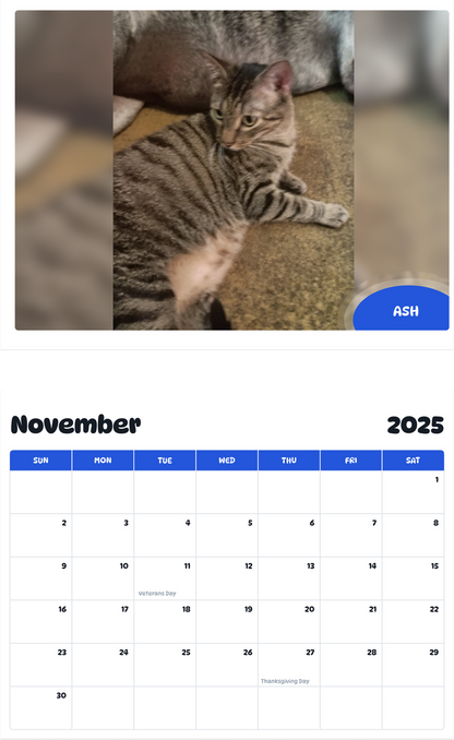 July 2025 - June 2026 Ash - Pawidols Pet Calendar