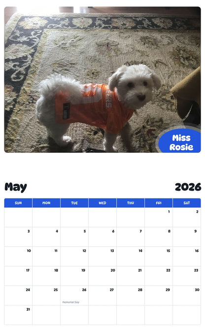 2026 - 2027 Miss Rosie - Pawidols Pet Calendar