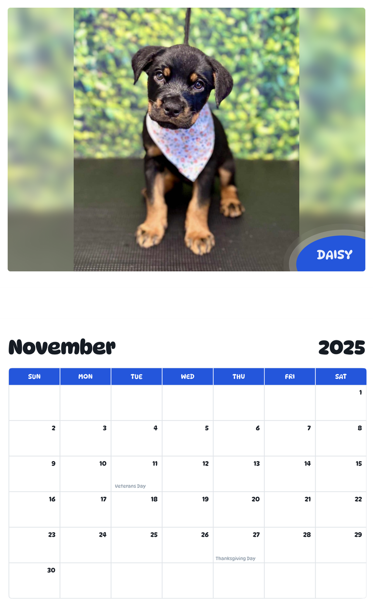 July 2025 - June 2026 Daisy - Pawidols Pet Calendar